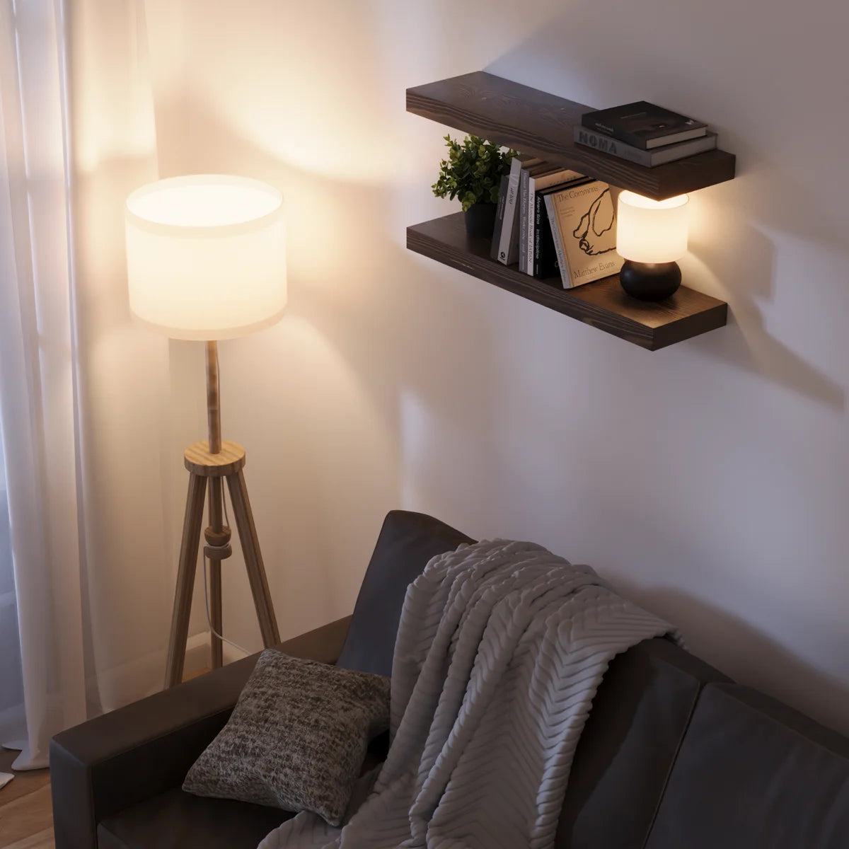 Baobab shelves in a living room