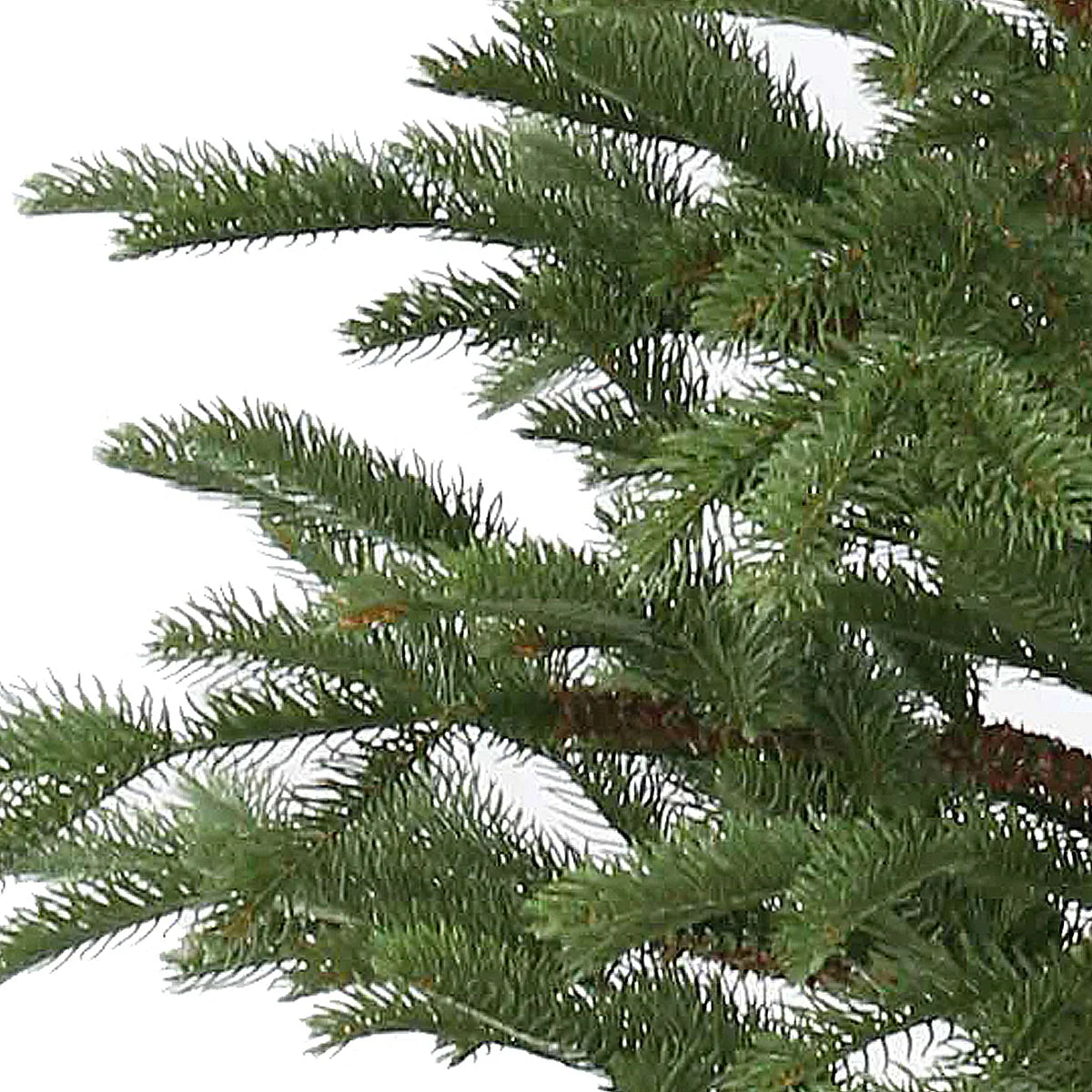Realistic spruce needles close-up