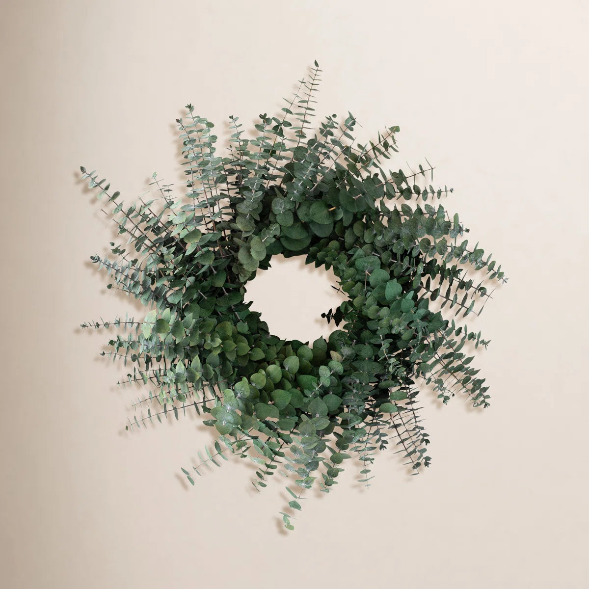 Preserved eucalyptus wreath on a warm wall