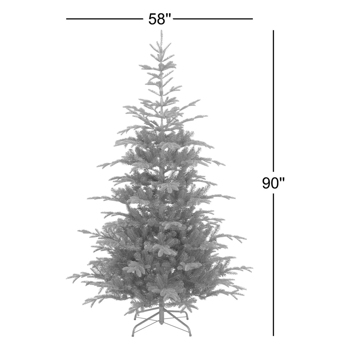Spruce tree dimensions