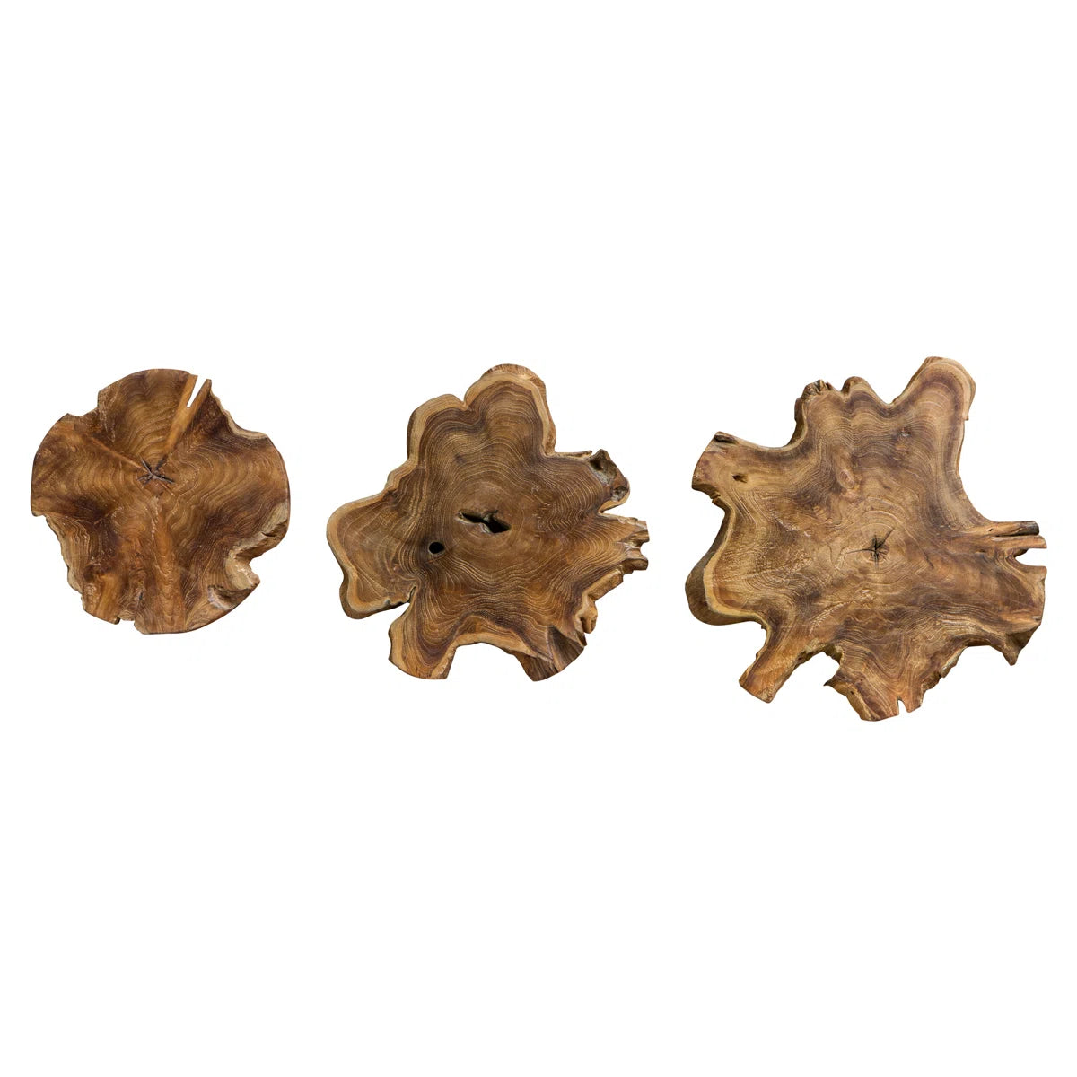 Set of 3 teak wood slices