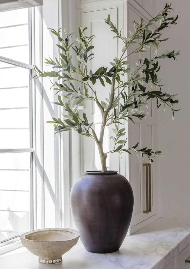 Japandi Potted Olive Tree Plant