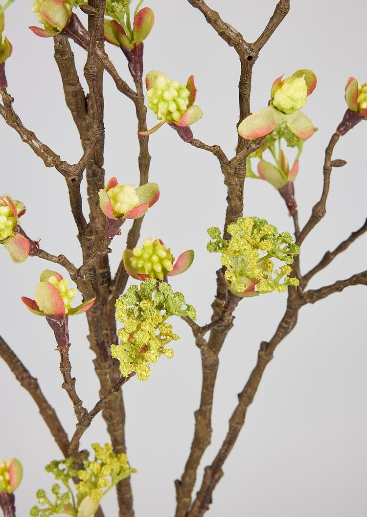 Japandi Budding Flower Branch