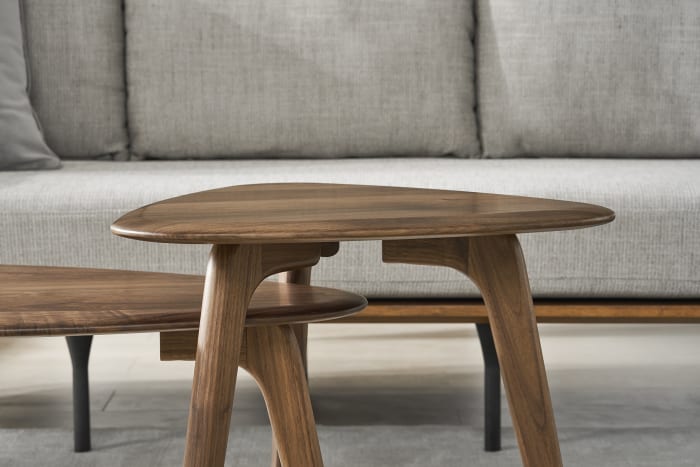 Japandi Wooden Coffee Table Set