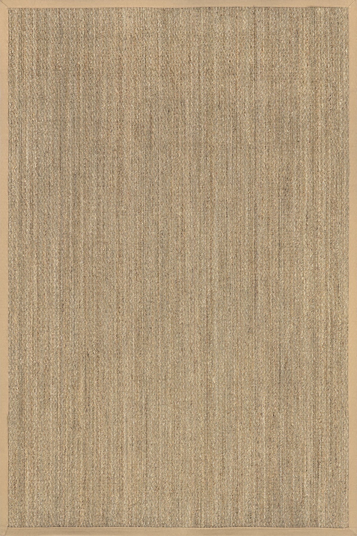 Japandi Bordered Seagrass Rug - Beige