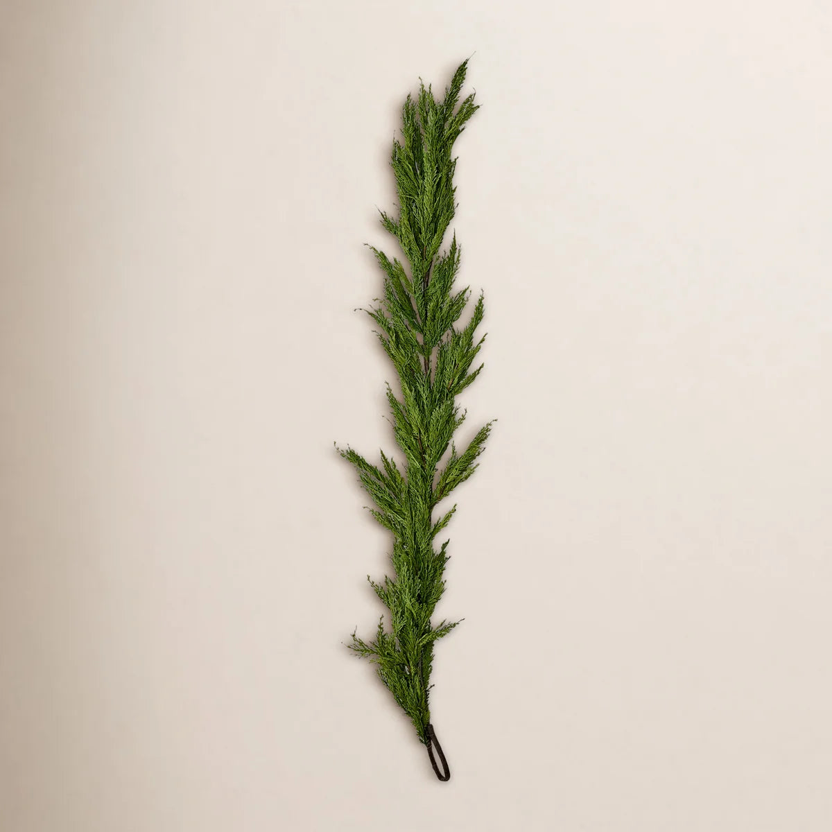 Cedar Christmas garland hanging on a warm plaster wall