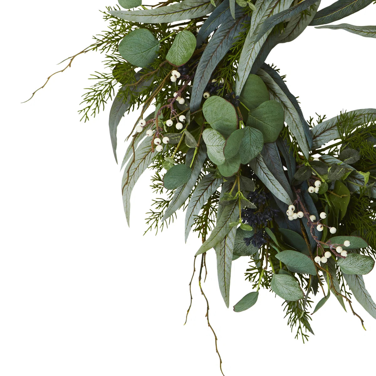 Eucalyptus leaves close-up
