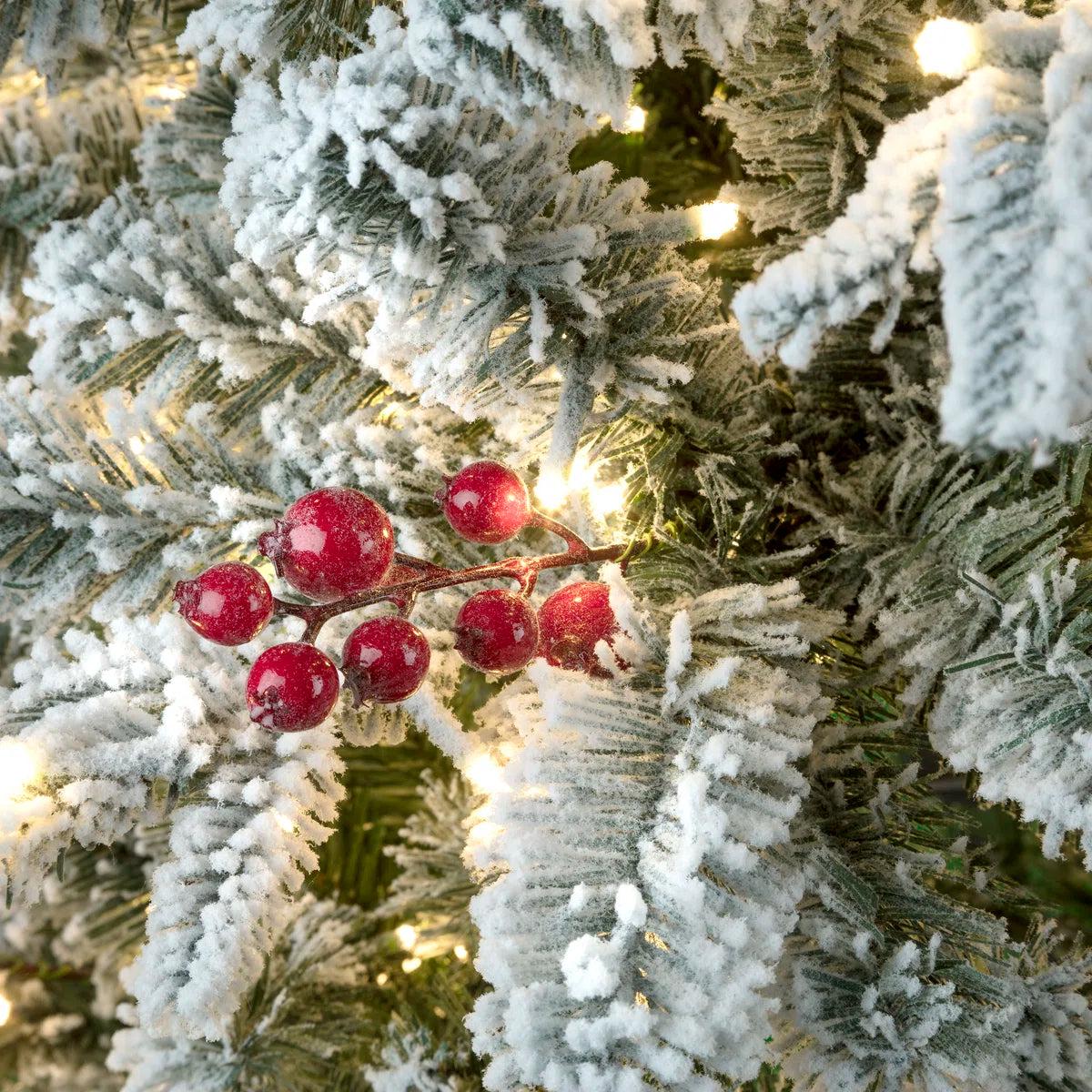Frosted branches with berries close-up