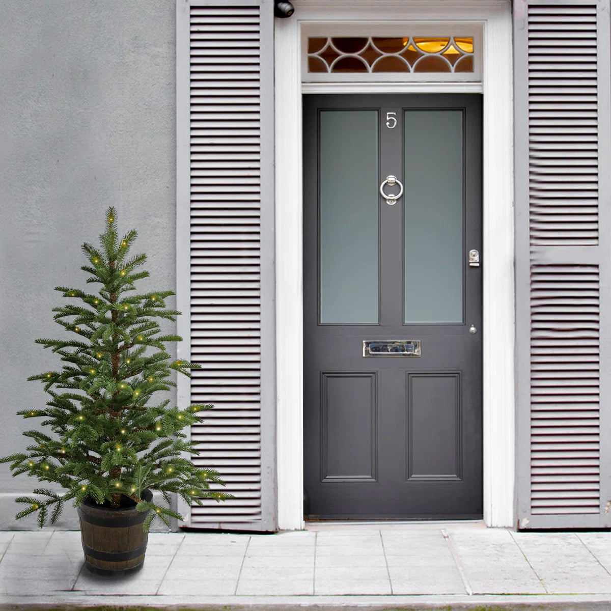 Potted spruce entrance tree next to a front door