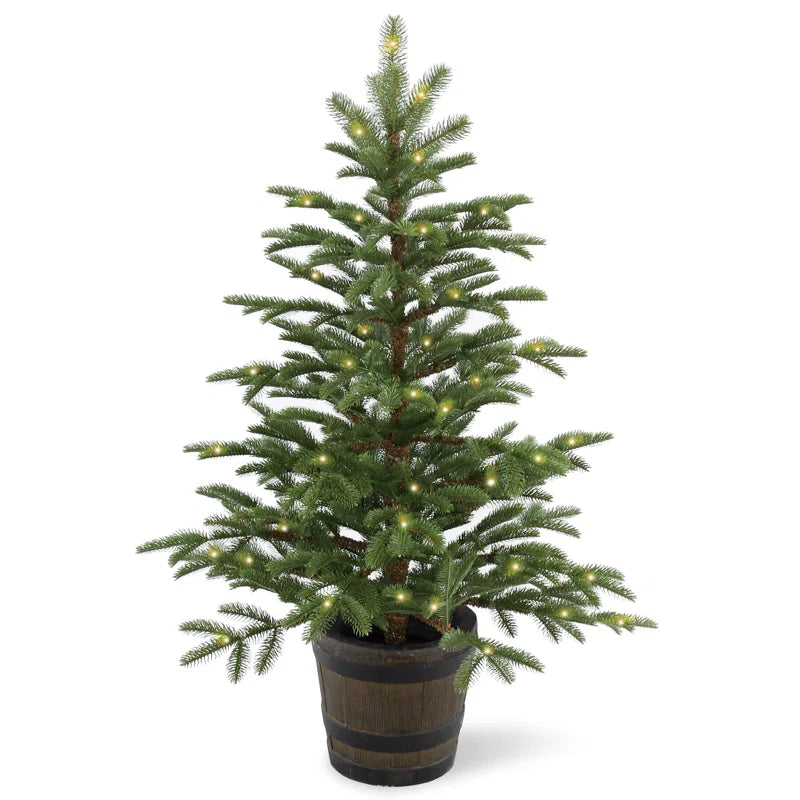 4 ft potted spruce tree with clear lights