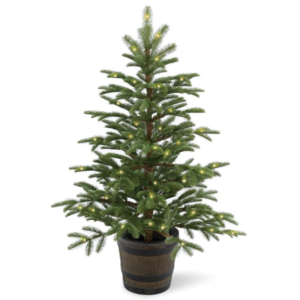 Japandi Potted Spruce Entrance Tree with Lights, 4 ft