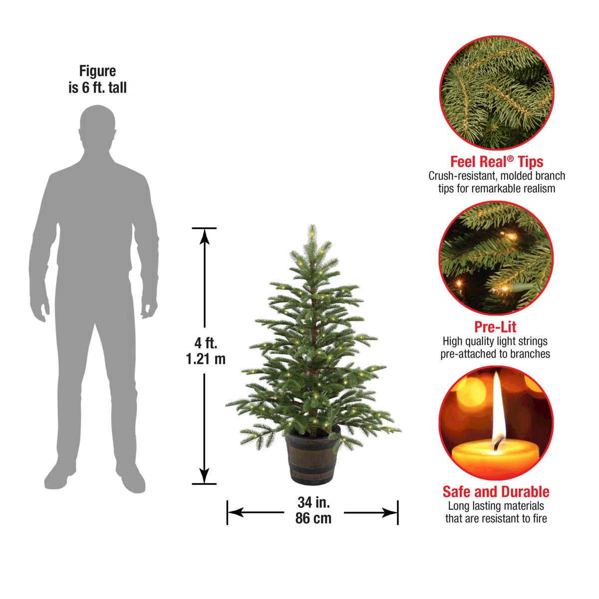 Entrance tree size compared to a person