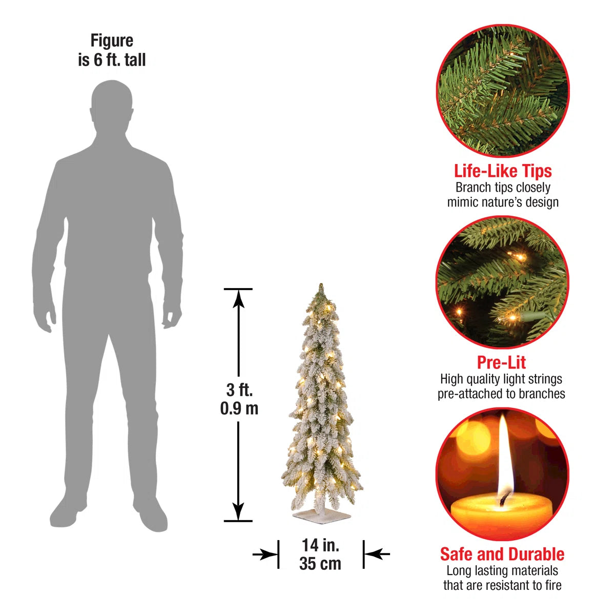Tree height compared to a person