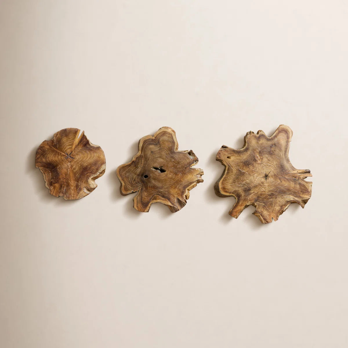 Three teak wood slices hanging on a warm wall